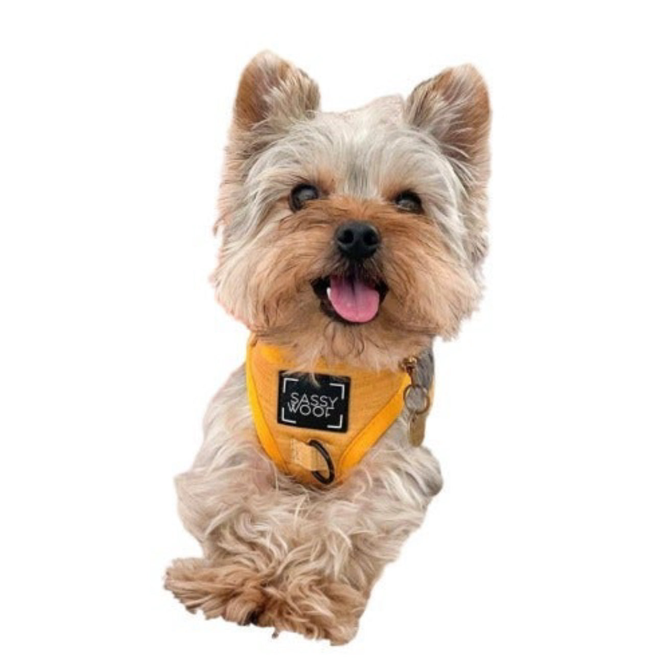 Sassy Woof Sunflower Dog Harness