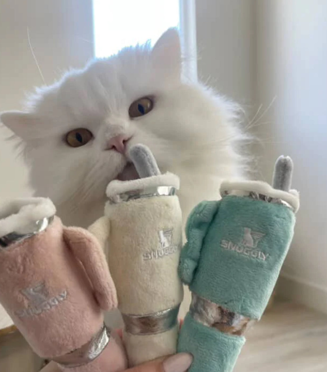 Snuggly Cup 3-Pack Organic Catnip Toys