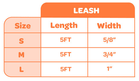 Voyager Dog Leash