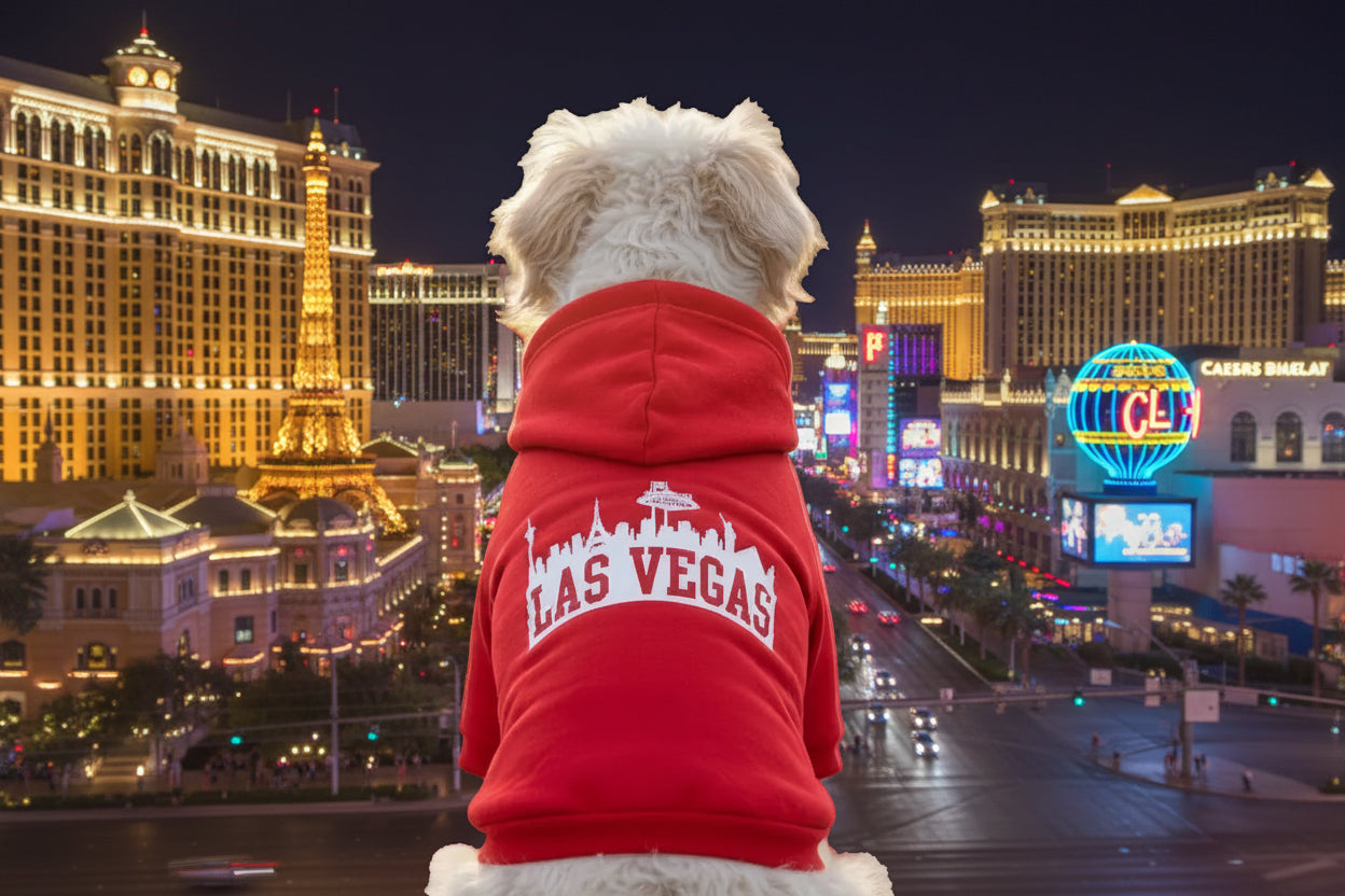 Las Vegas Dog Hoodie