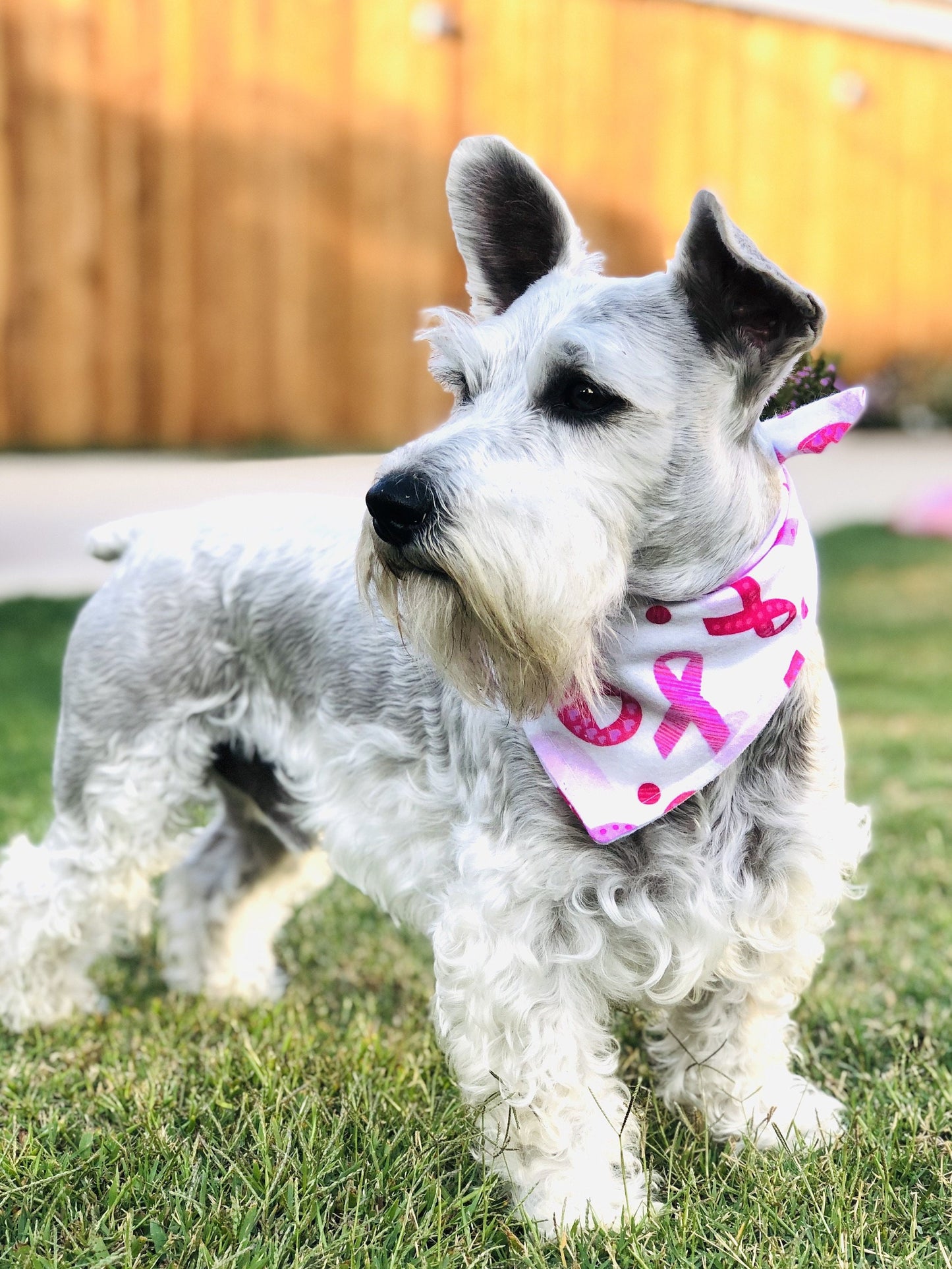 Breast Cancer Awareness Bandana
