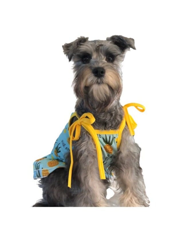 Pineapple Dog Dress