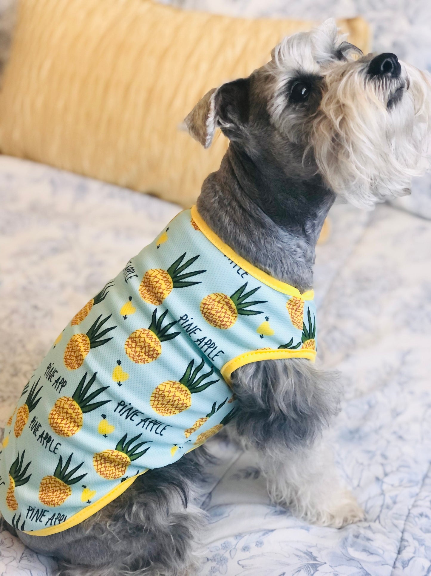 Pineapple Shirt