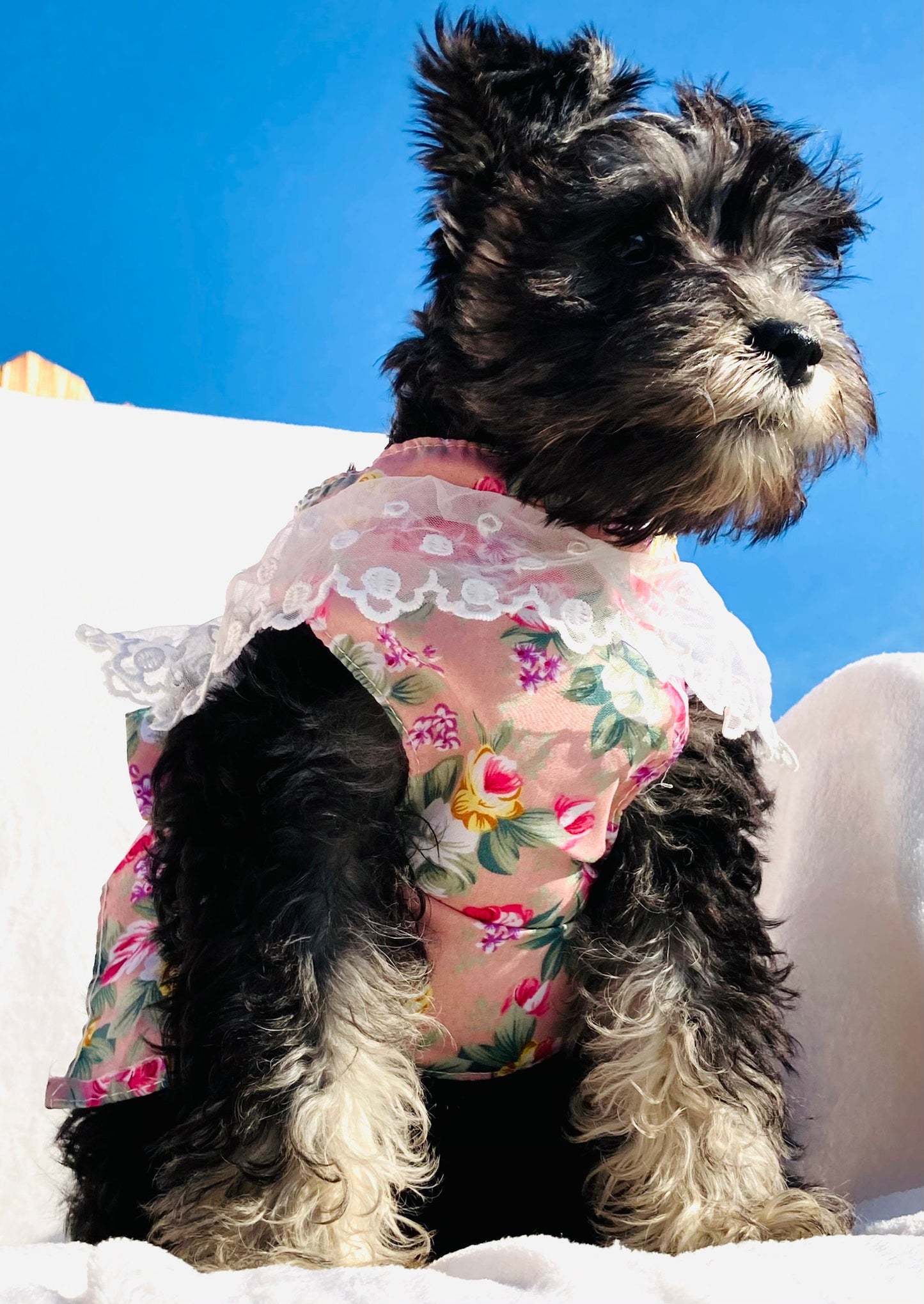 Floral Lace Harness Set