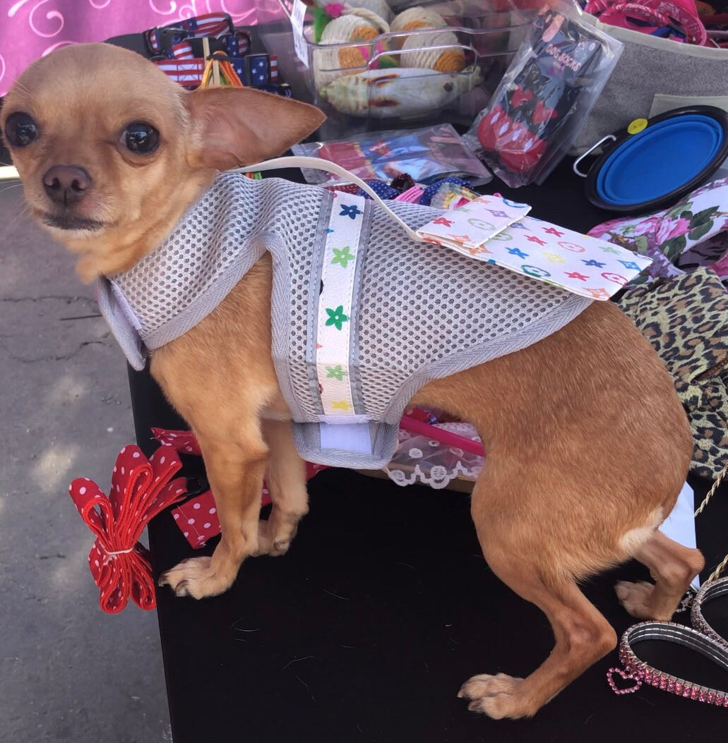 Designer Inspired Vest