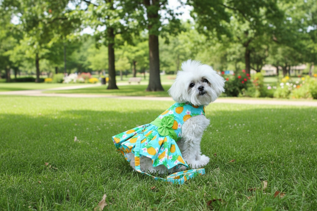 Pineapple Luau Dress w/ Leash