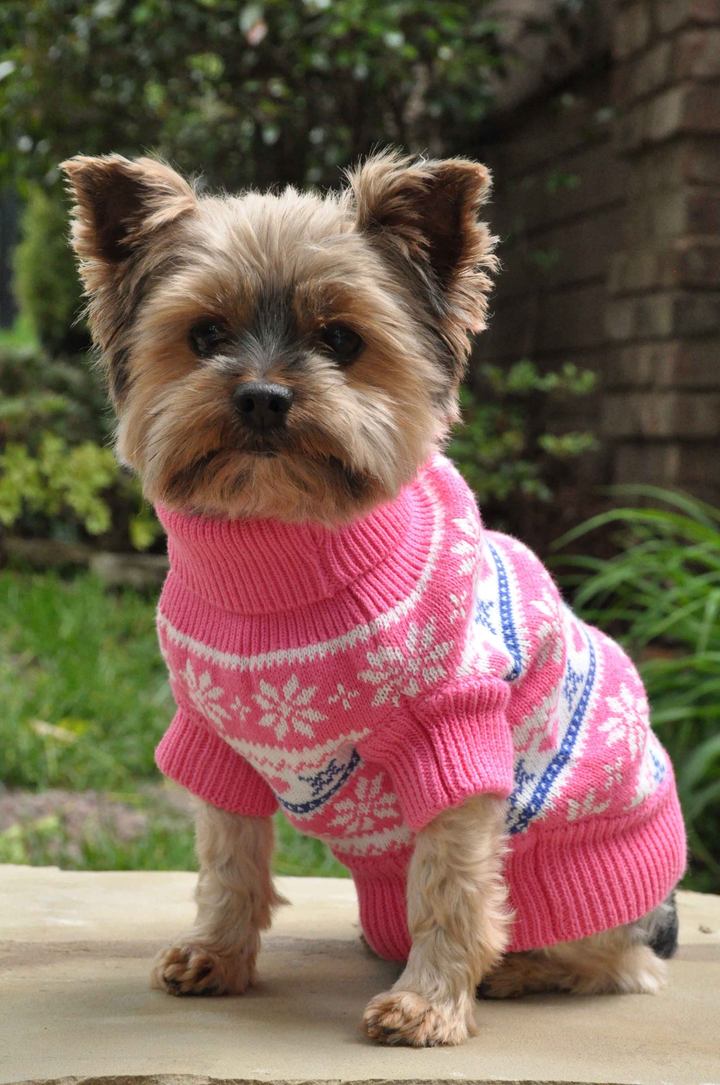 Snowflake and Hearts Dog Sweater- Pink