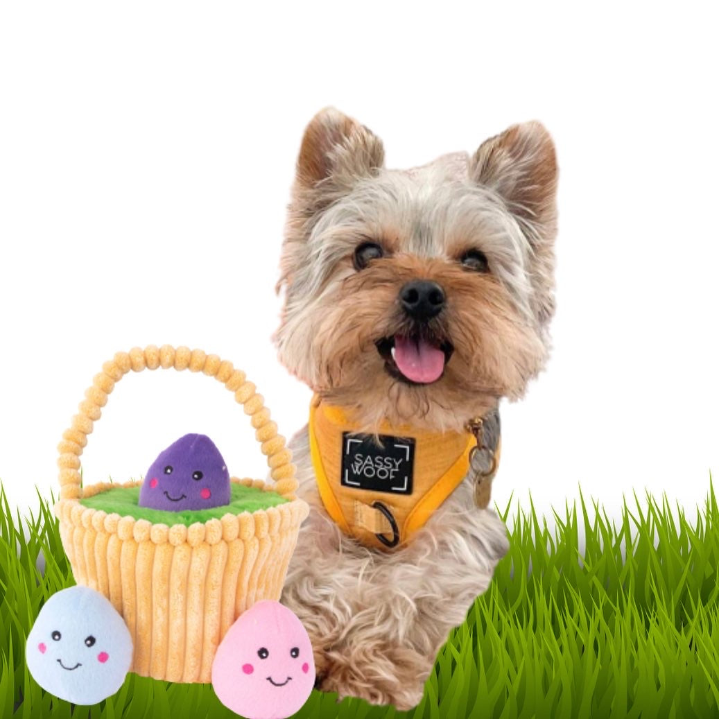 Dog Easter Basket