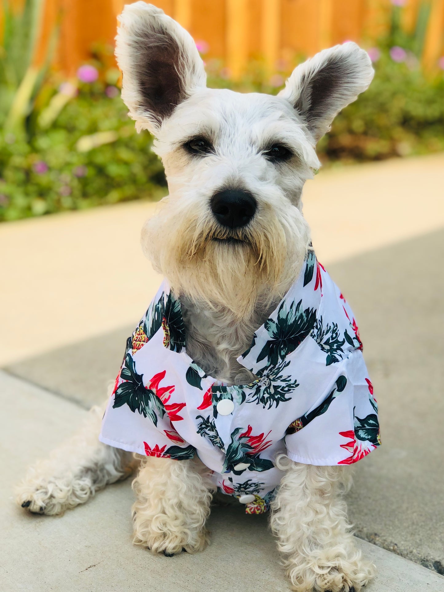 Hawaiian Dog Shirt