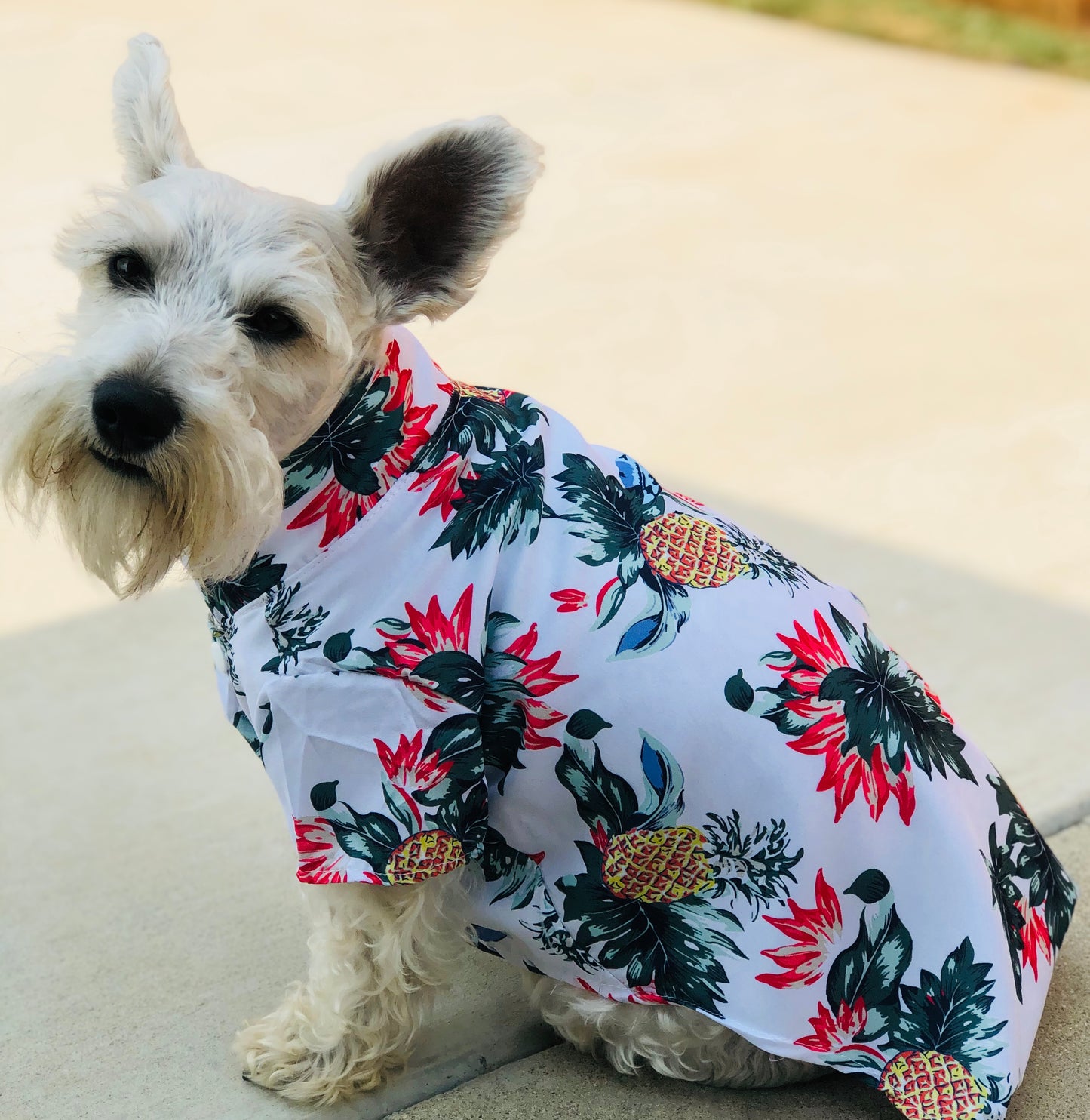 Hawaiian Dog Shirt