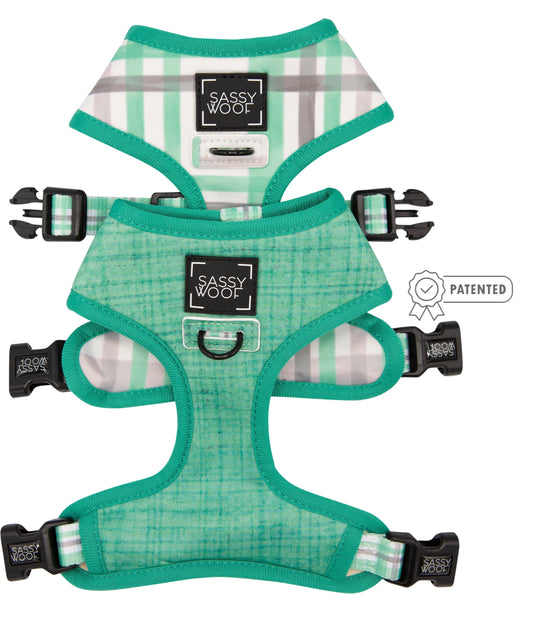 Sassy Woof Reversible Wag Your Teal Dog Harness, Teal, Small