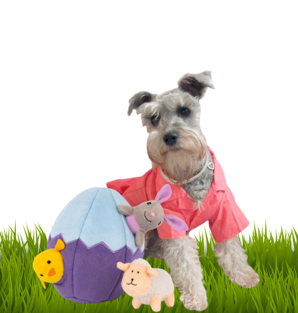 Dog Easter Egg Toy