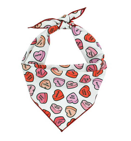 Valentine Bandana | Valentines Day Bandana | Conversation Hearts Valentine Dog Red Bandana
