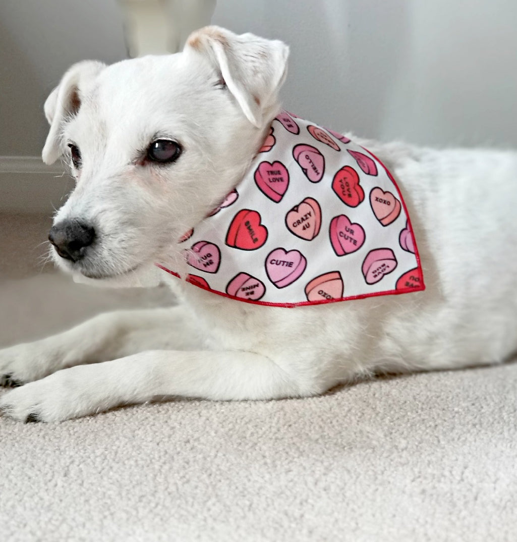 Valentine Bandana | Valentines Day Bandana | Conversation Hearts Valentine Dog Red Bandana