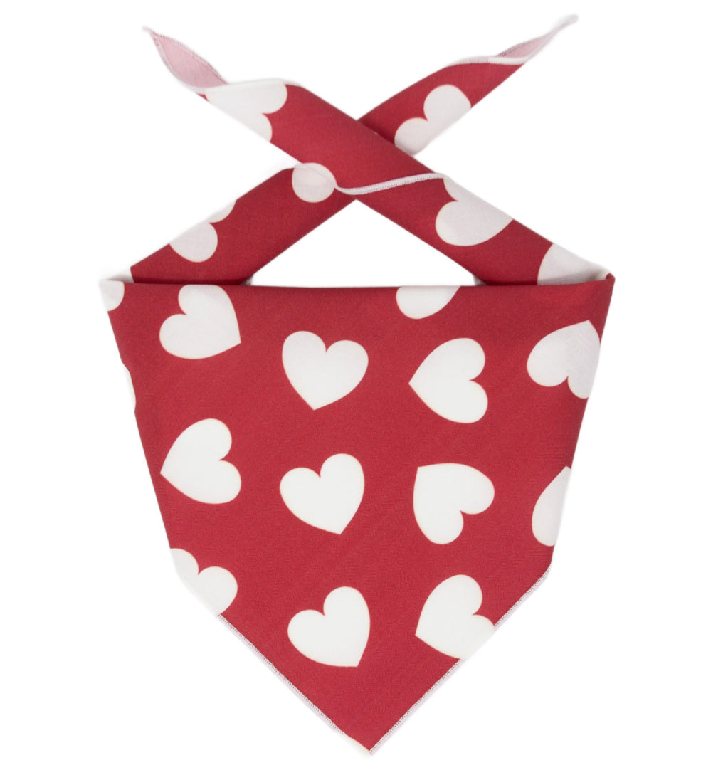 Valentines Day Pet Bandanas