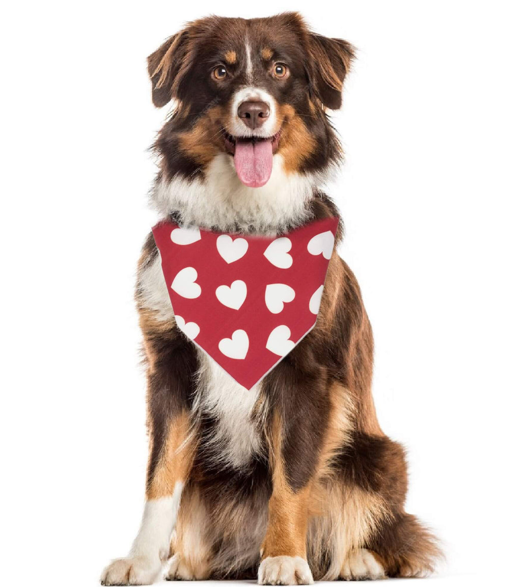 Valentines Day Pet Bandanas