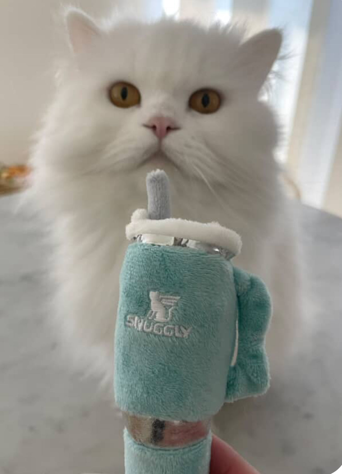 Snuggly Cup 3-Pack Organic Catnip Toys