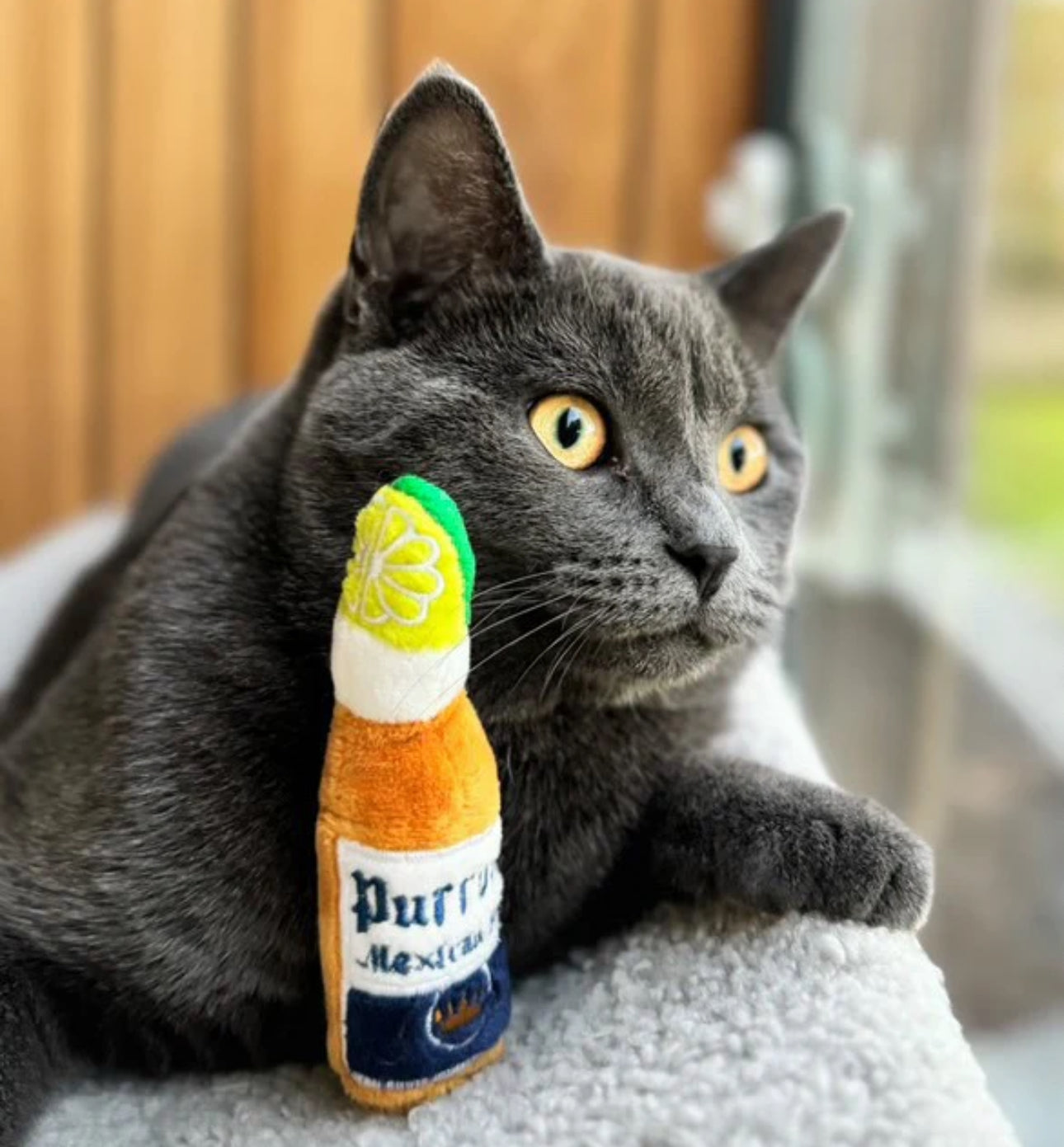 Purrona (Bottle & Ball) Catnip Toys