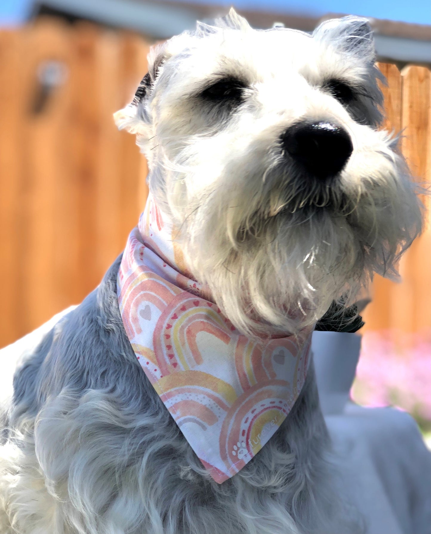 Boho Rainbow Bandana