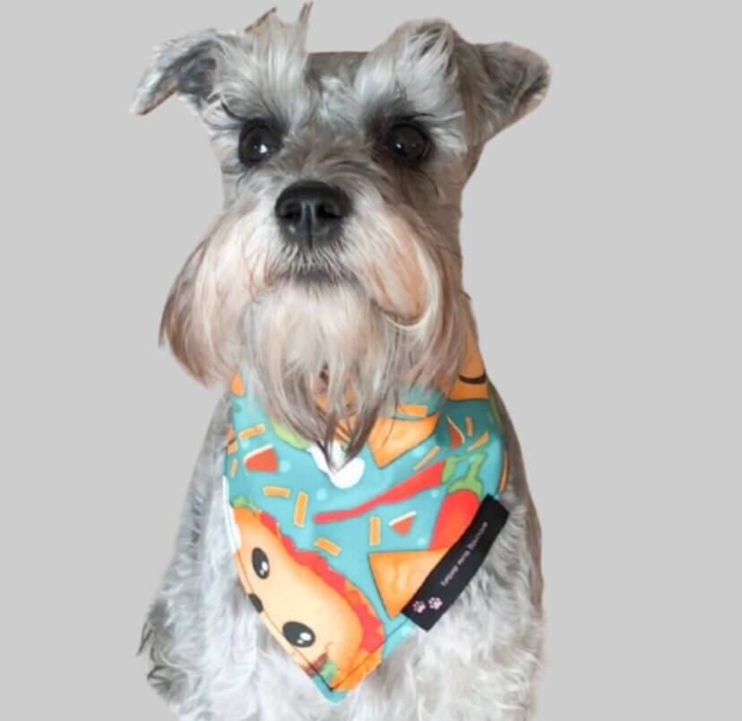 Taco Tuesday Dog Bandana