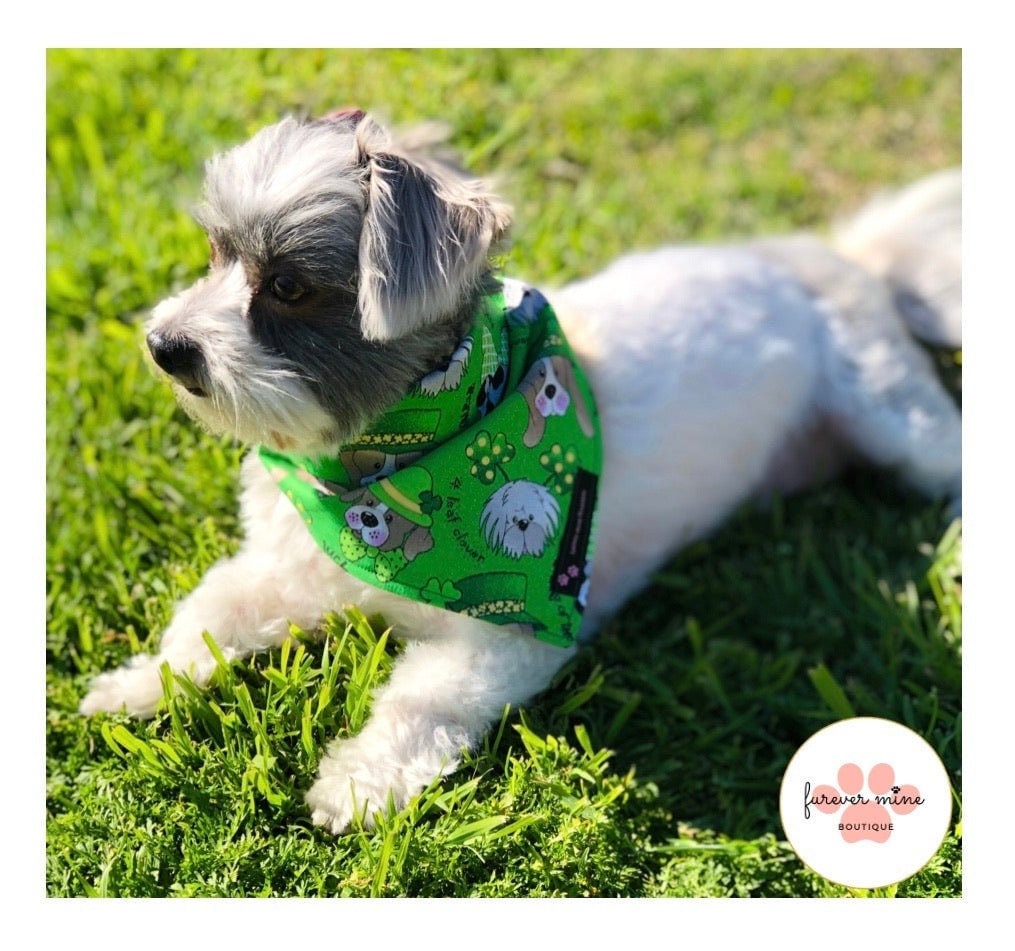 St. Patrick's Day Bandana