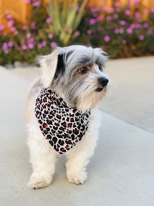 Leopard Print Bandana and Scrunchie Set