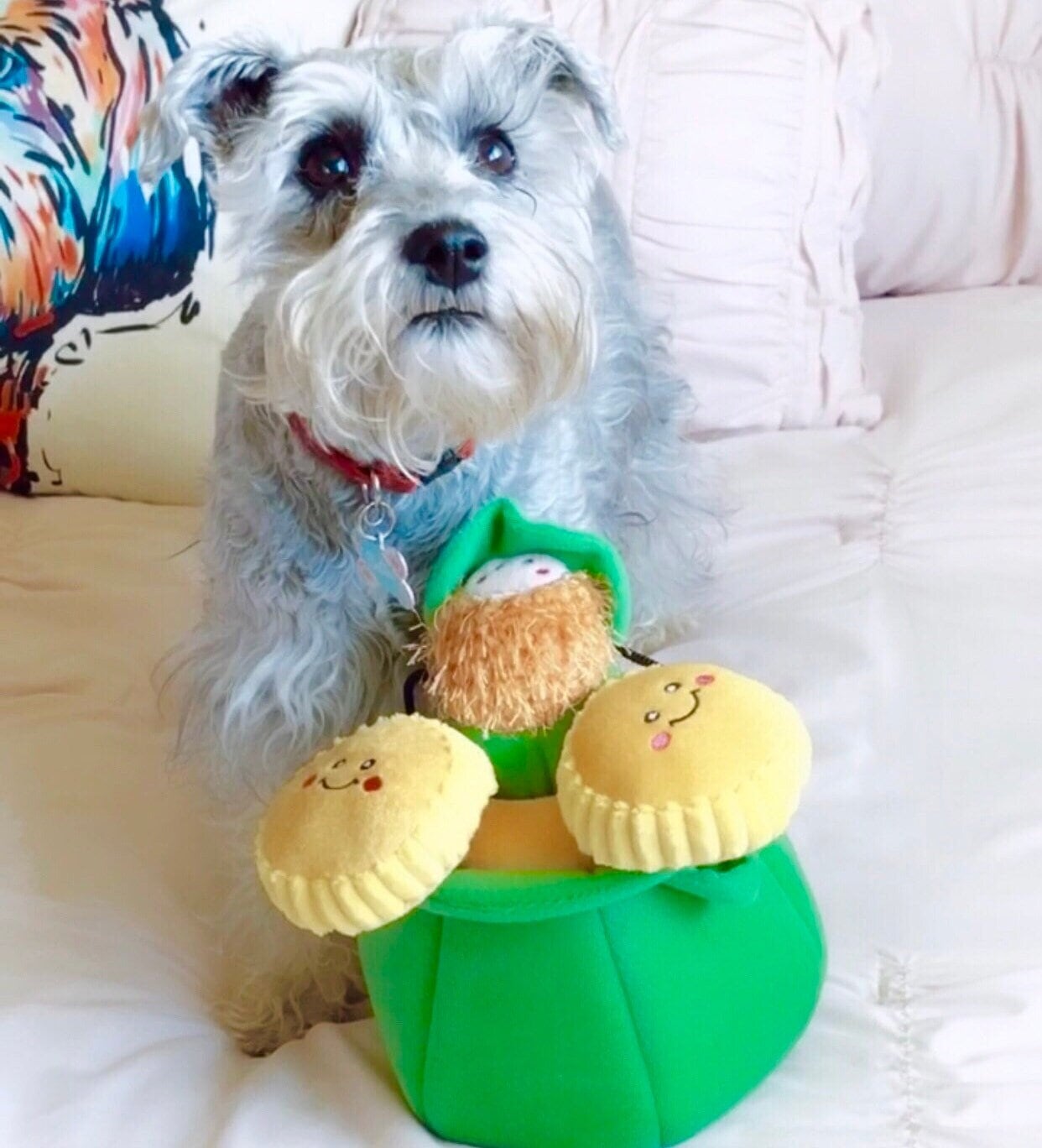 St. Patrick's Dog Toy