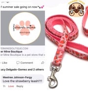 Dog Collar and Leash Set