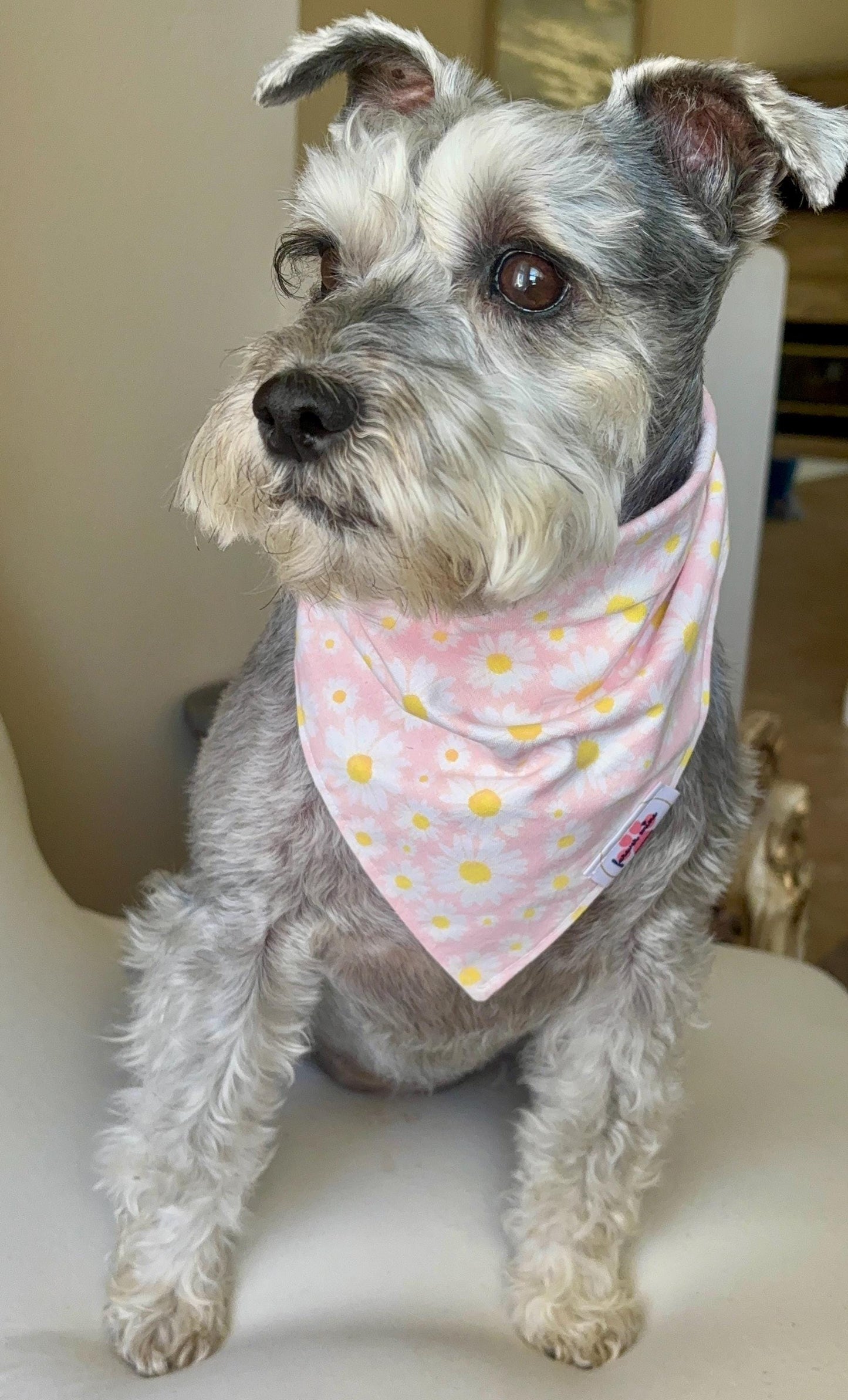 Daisy Print Bandana