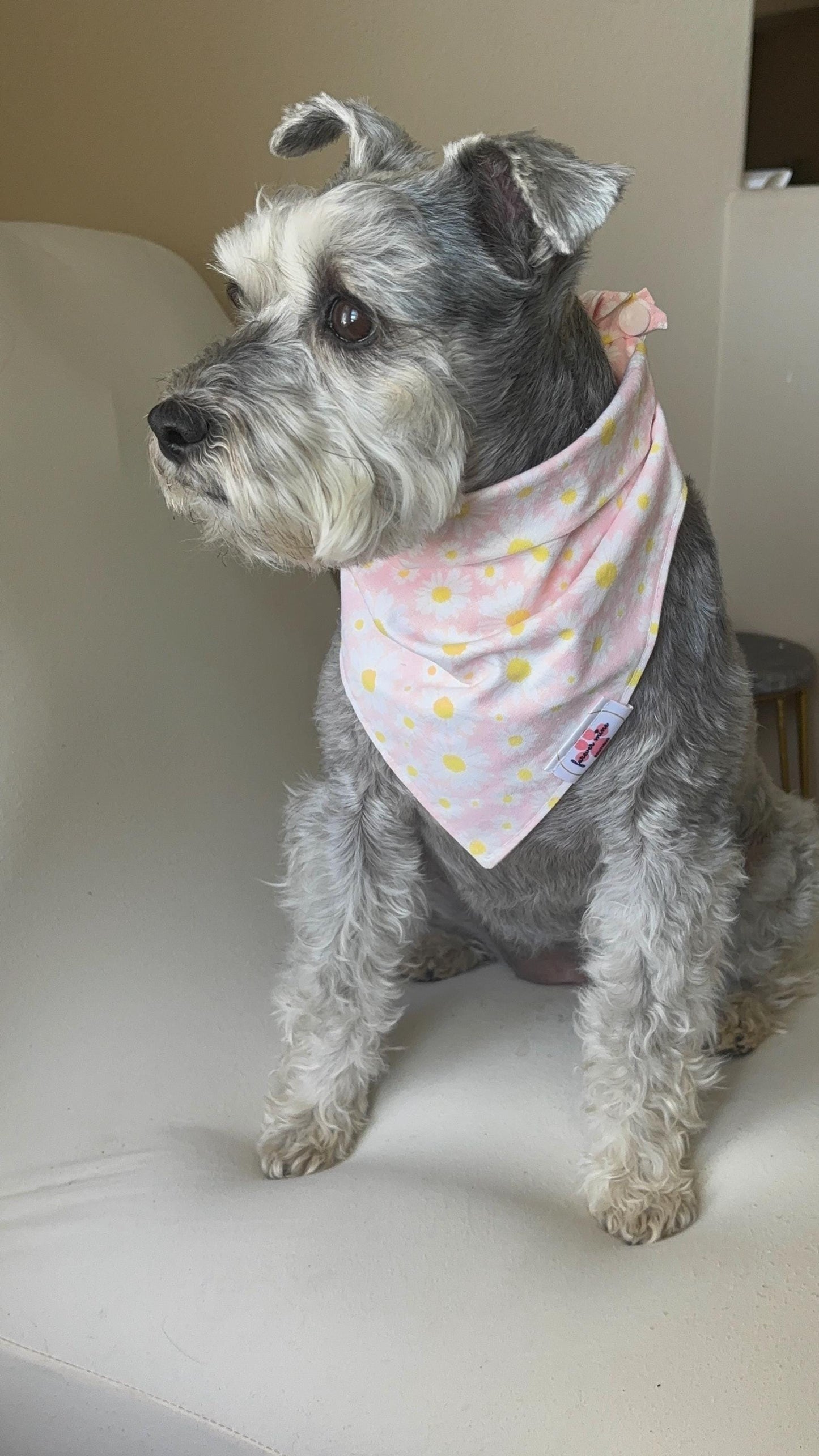 Daisy Print Bandana