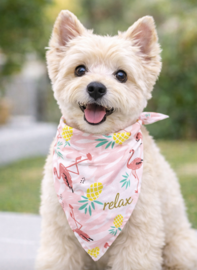 Flamingo Bandana