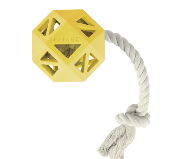 PetShop by Fringe Studio Yellow Pull My Way Rubber Dog Toy