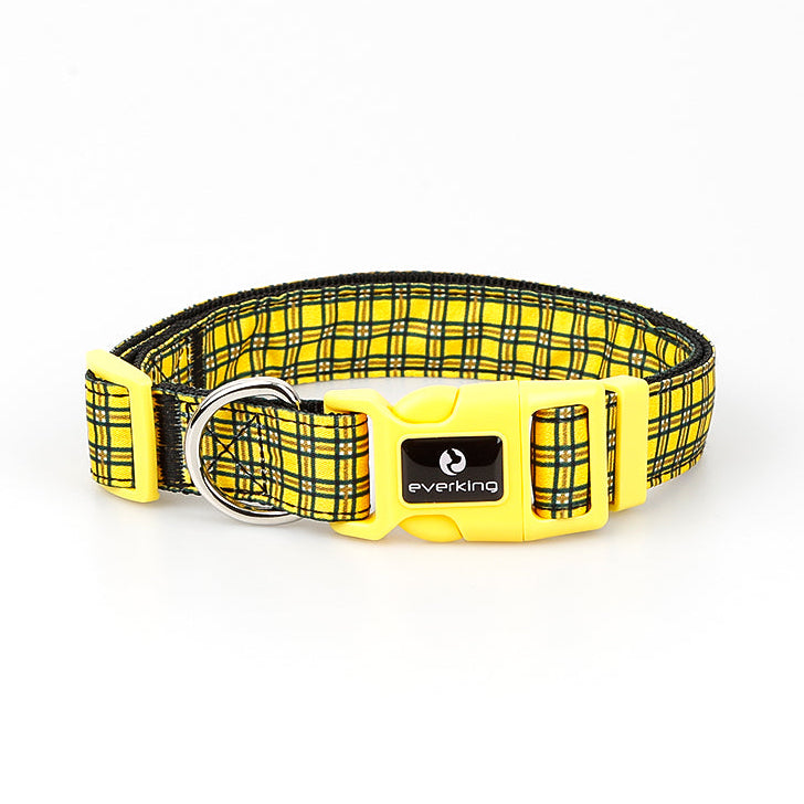 Dog Collar and Leash Set